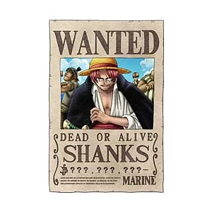 海賊王傑克懸賞拼圖204片