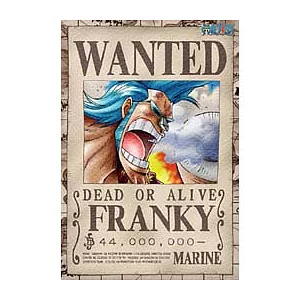 海賊王弗朗基懸賞夜光拼圖300片