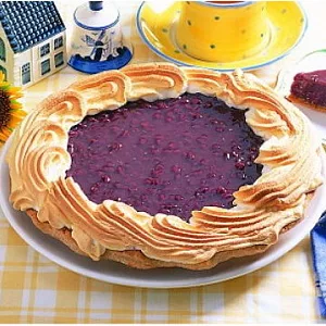 【金崴的派】招牌紅豆派(含運)