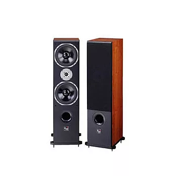 Audioking全音域專業歌唱劇院喇叭 RA-880