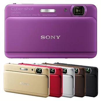 SONY Cyber-shot TX55 (平輸中文)+SD16G+原廠鋰電池+專用相機包+4合1讀卡機+清潔組+保護貼銀