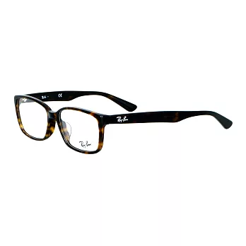 Ray Ban光學眼鏡 經典大圓框#豹紋RABA-5290D-2012-55