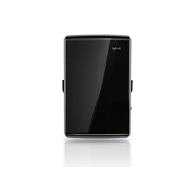 ROYAL QW-100 口袋型多工行動網卡 -黑